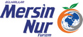 otobus firma logosu